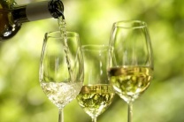 фото по теме Белое виноградное вино
