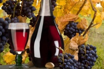 фото по теме Вино Изабелла